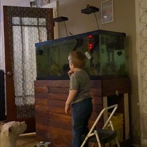 Meet your Posher, Jodi